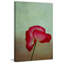 La Te Da - impression sans cadre sur plastique / acrylique-1322156367-1322156355