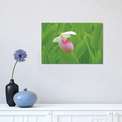 "Single Lady Slipper" par Brian Wolf - photographie sur toile tendue