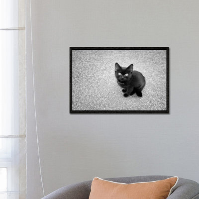 Just a Baby 1 Piece Wall Art on Canvas