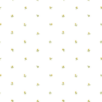 Devaughn 10m x 53cm Matte Wallpaper Roll