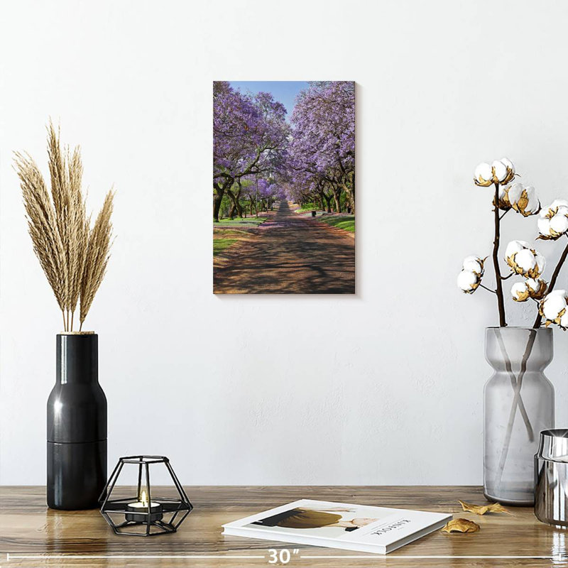 Jacaranda Sireci, H 12 po x l 8 po