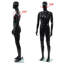 Glass Statue Decorative Object-41239279