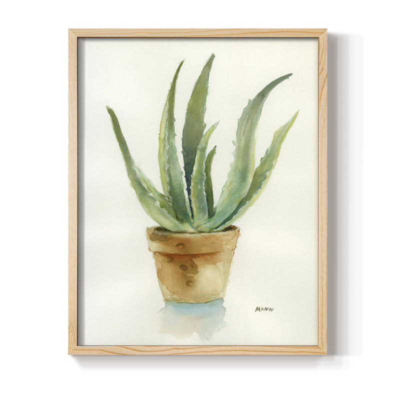 Succulent IV, reproduction encadrée - bois massif, Naturel, H 15 po x l 12 po