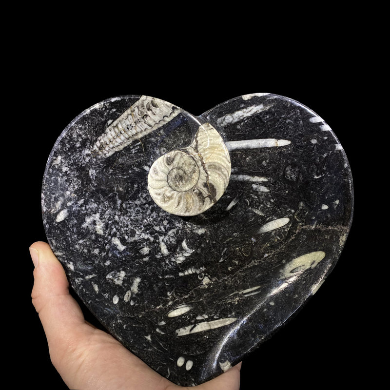 Assiette décorative noire en grès Zao