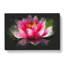 Pink Water Lily Flower Vol.3 - Wrapped Canvas Print-61882940