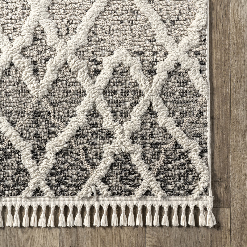 Poppy Moroccan Ombre High/Low Tasseled Area Rug, Rectangle 5'3" x 7'7"