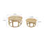 2 tables basses Aleighana