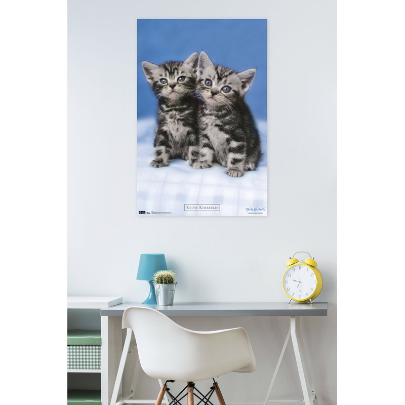 Impression sur papier chat-palmiers