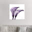 Calla Lilies II 1 Piece Wall Art on Canvas-1002608907-1013585188