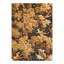 Tapis brun / beige / doré en laine / coton fabriqué à la main sans motif et sans motif 4 pi 1 po x 9 pi 4 po