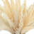 Flocked Fox Tail and Pampas Arranged in a Ceramic Vase