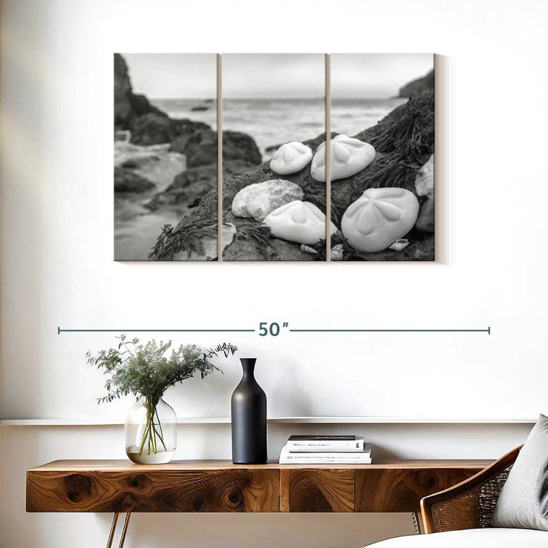 Coquille de plage Brampt White Crescent IV, H 24 po x l 38 po