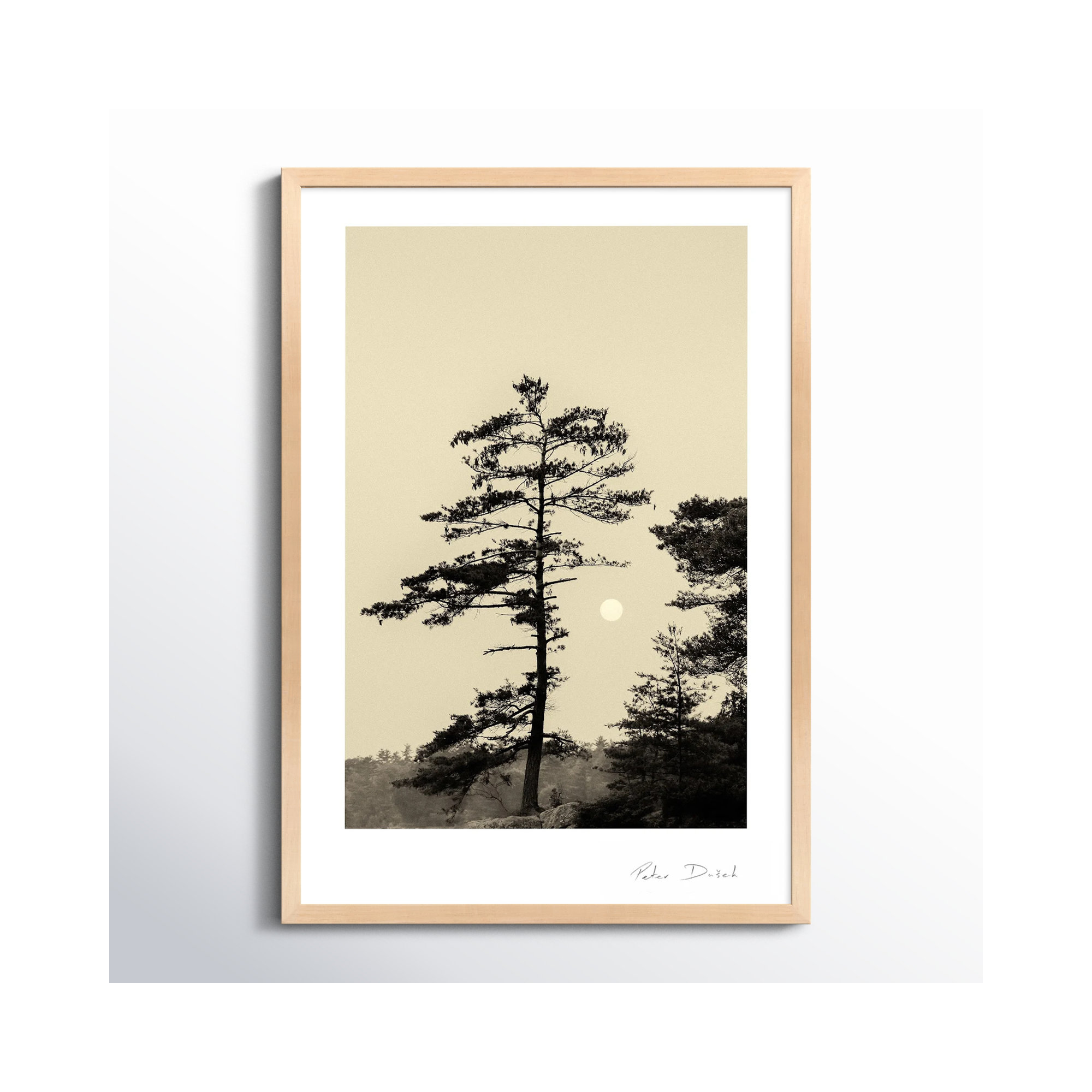 Serenity by Peter Dušek, Brown, 30" H x 21" W x 1.25" D