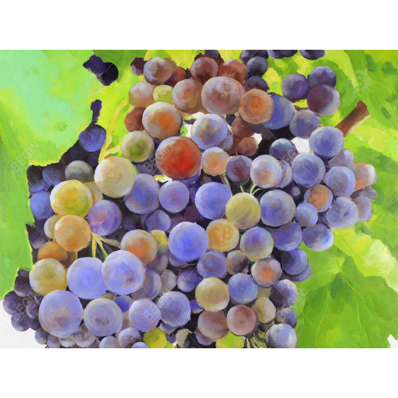 Braided Polyester Placemat - Bunch of Grapes Kitchen Decor