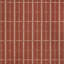 Agatti Check-1204253978