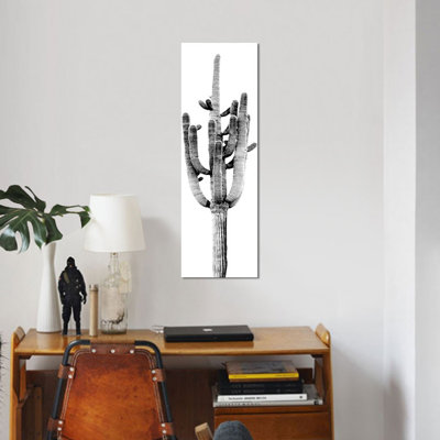 " Black & White Saguaro Cactus II " Graphic Art