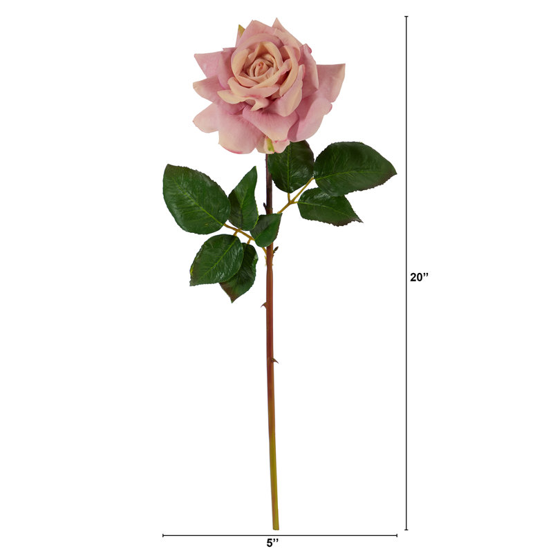 Tige de roses, Lavande