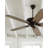 Jacobi 52'' Ceiling Fan with LED Lights-1788204793
