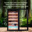 Humidificateur à cigares Raching Count