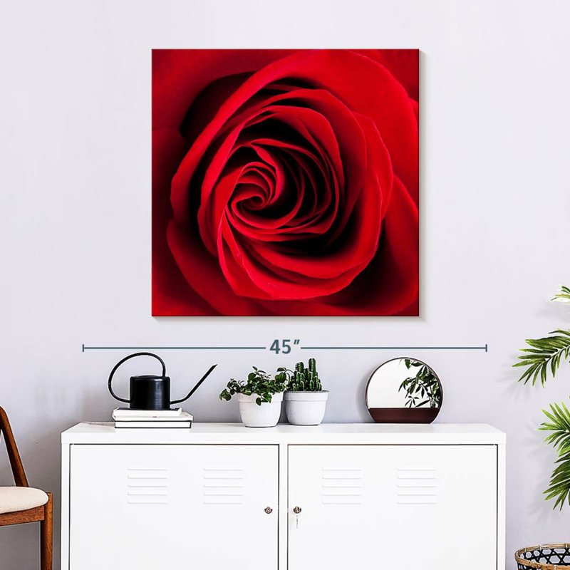 Harnek Red Rose In Bloom