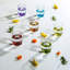 80ml Shot Glass / Shooter-1165194434