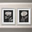 " Black And White Flowers III-Framed 2 Piece Set - Black " 2 - Pieces