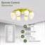 Ventilateur de plafond 16,7 po Kammron-552628123