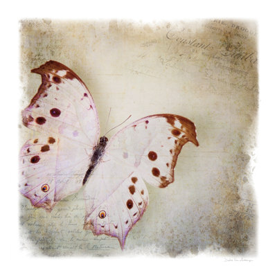 Papillon flottant II