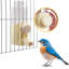 5.9 Bird Cage