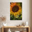 Tournesol Harnek-108433868