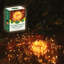 2190cm LED Solar Powered 200 - Bulb Fairy String Light
