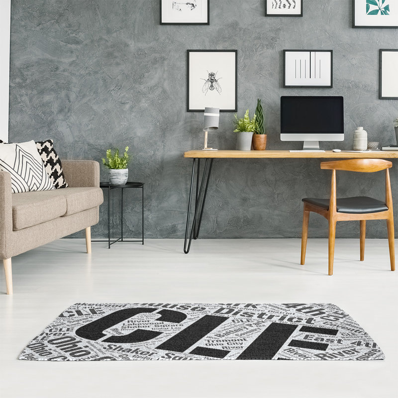 Tapis de zone noire à tissage plat poils longs, Rectangle 4 pi x 6 pi