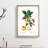 Apple Tree Branch by Pierre-Joseph Redoute - Single Picture Frame Painting-55544722-55544720