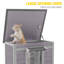 Cat House