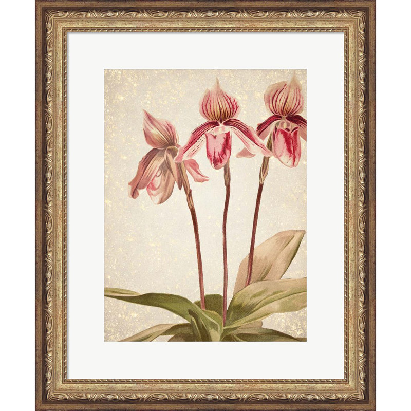 Orchidées 4 par Kimberly Allen - impression encadrée