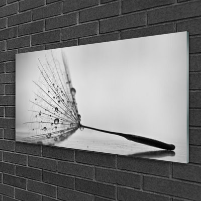 Floral Dandelion - Unframed Photograph on Glass