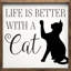 Life With A Cat Script-439145803