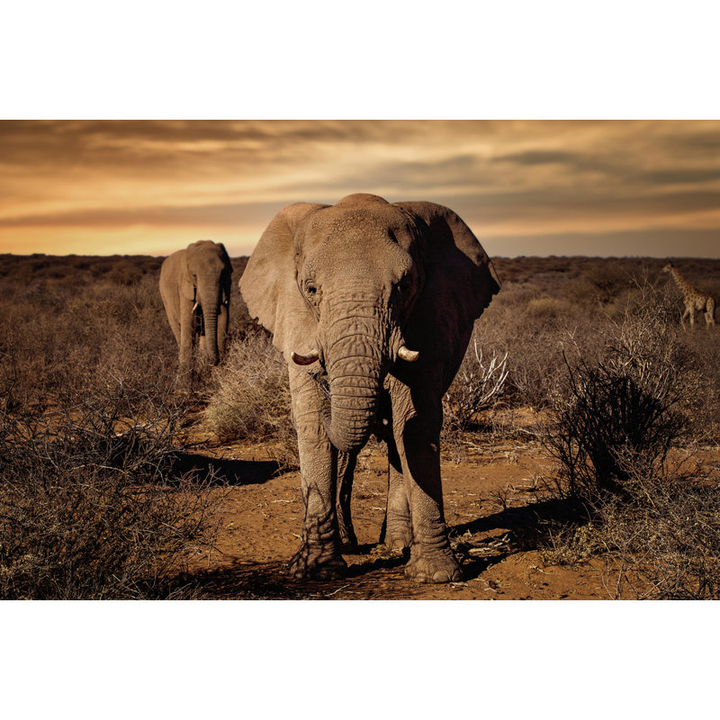 Wrapped Canvas Print, 60.96 cm H x 91.44 cm W
