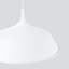 1 - Light Stainless Steel Pendant-1279011103