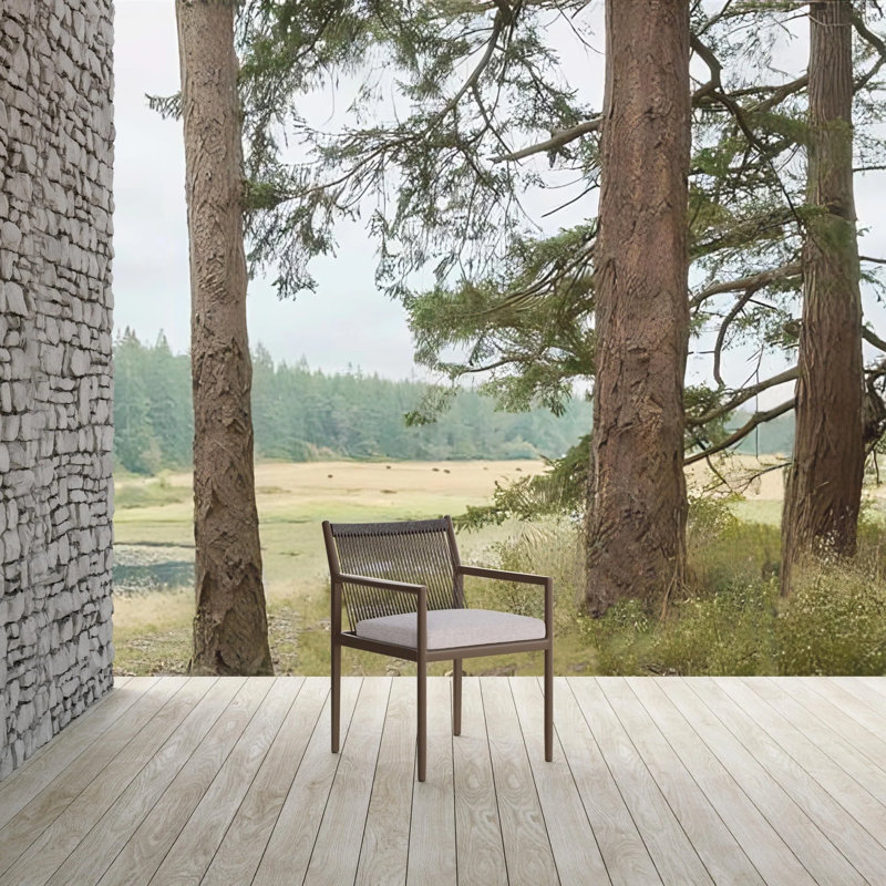 Madeira Dining Chair Bronze + Fawn Cushion, Bronze/Fawn