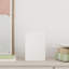 Caleena Gift Wrap Storage-1894557430-1894557439