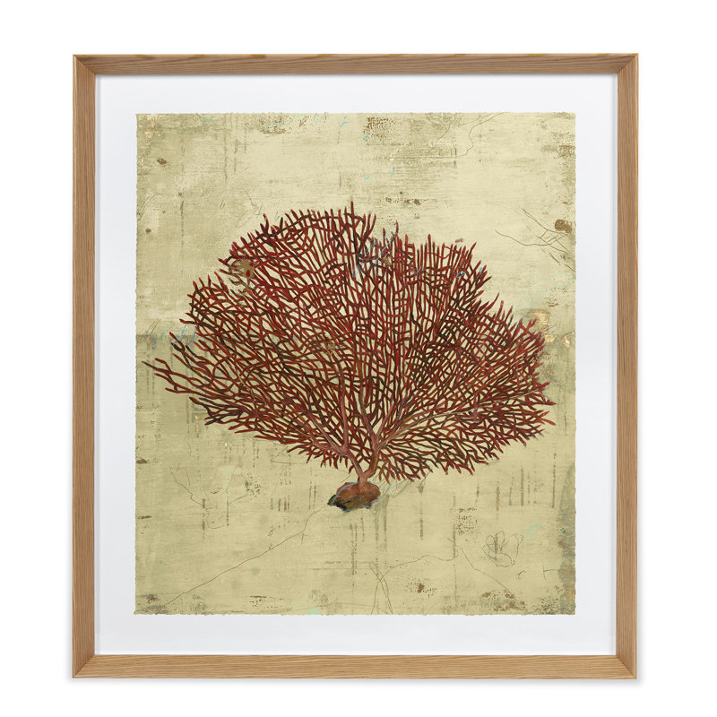 Red Sea Fan Print by Sarah Atkinson, 44" H x 35" W