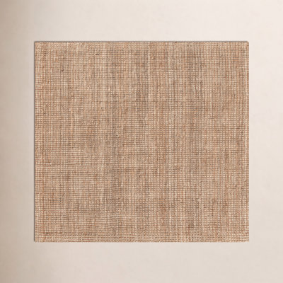 Asta Hand Loomed Jute/Sisal Area Rug