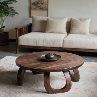Modern Chinese Walnut Coffee Table