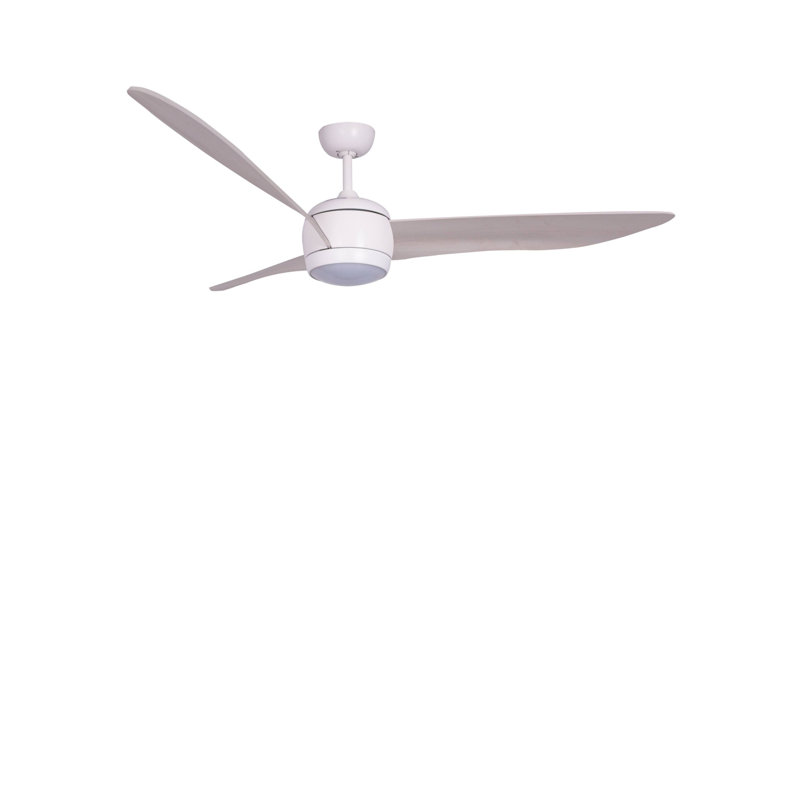 Aalyha 142cm Ceiling Fan with LED Lights, White with White Oak Blades