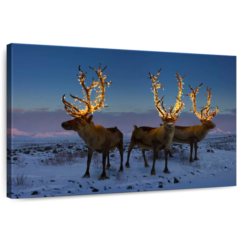 Brampt Illuminated Reindeers, 34" H x 51" W