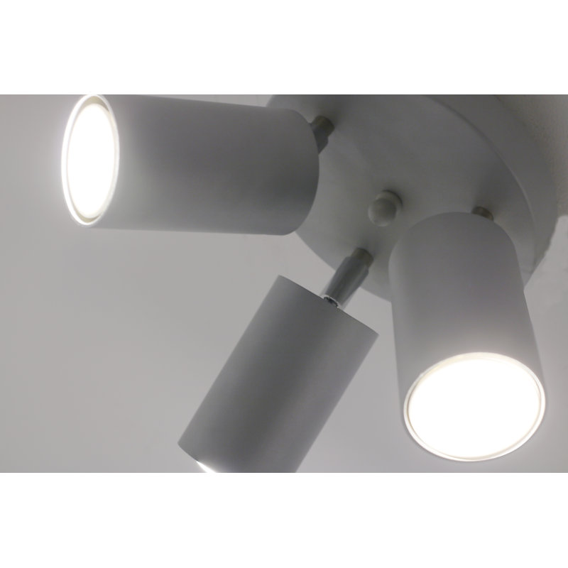 Caulksville Spotlight, Grey