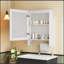 Armoire de toilette 3 en 1, armoire à pharmacie murale de 20 pouces avec tablette réglable et porte à fermeture en douceur, miroir haute définition avec rangement pour meuble-lavabo de salle de bain