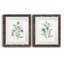Linen Botanical III - ensemble de 2 reproductions d'art-1345068774-1345068775-1345068799