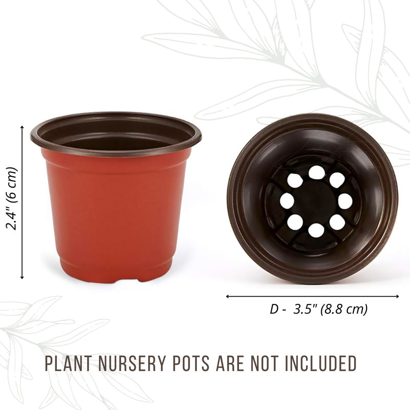 Euva Indoor/Outdoor Clay Statue Planter